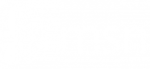 msn logo 480x222 1